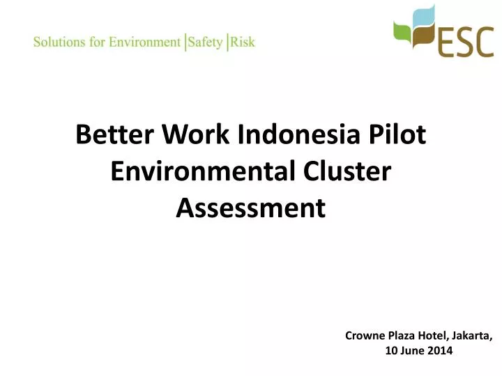 better work indonesia pilot environmental cluster assessment