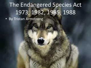 The Endangered Species Act 1973, 1982, 1985, 1988