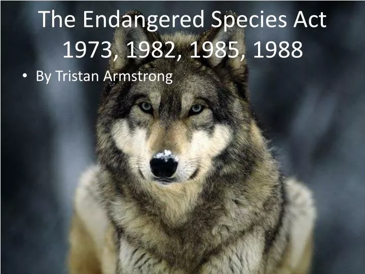 the endangered species act 1973 1982 1985 1988