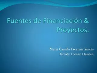 fuentes de financiaci n proyectos