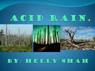 ACID RAIN By: Helly Shah