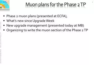 Muon plans for the Phase 2 TP