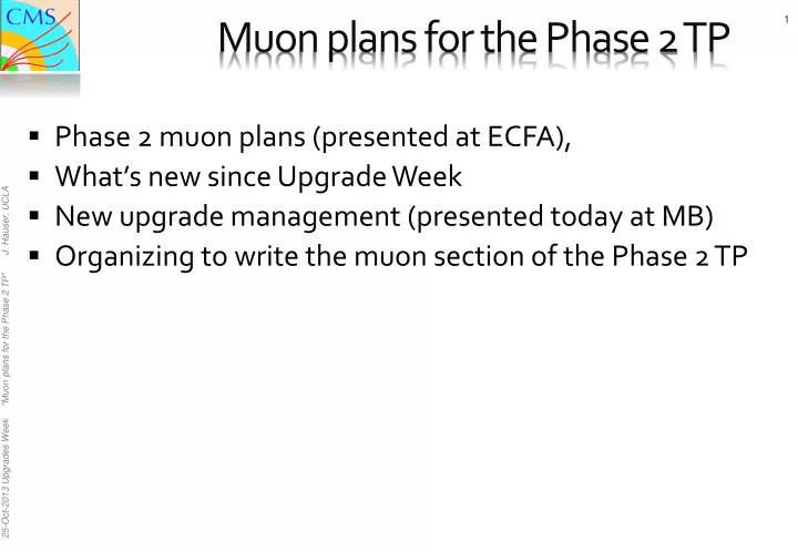 muon plans for the phase 2 tp