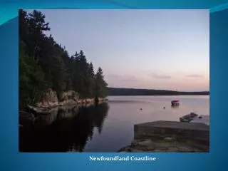 Newfoundland Coastline