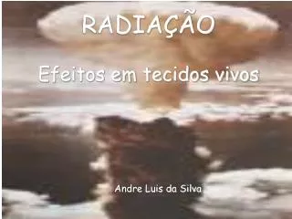 andre luis da silva