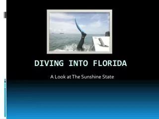 Diving into Florida