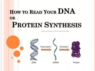 How to Read Your DNA or Protein Synthesis
