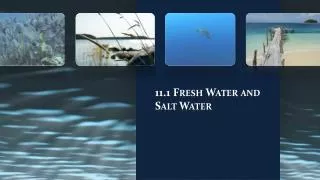 11.1 Fresh Water and Salt Water