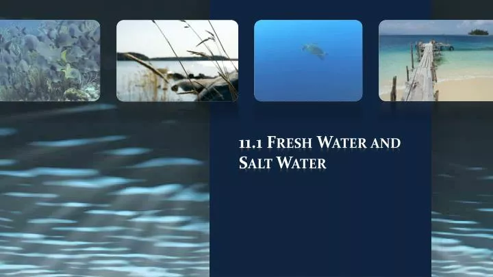 11 1 fresh water and salt water
