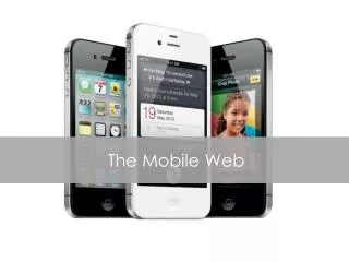 The Mobile Web
