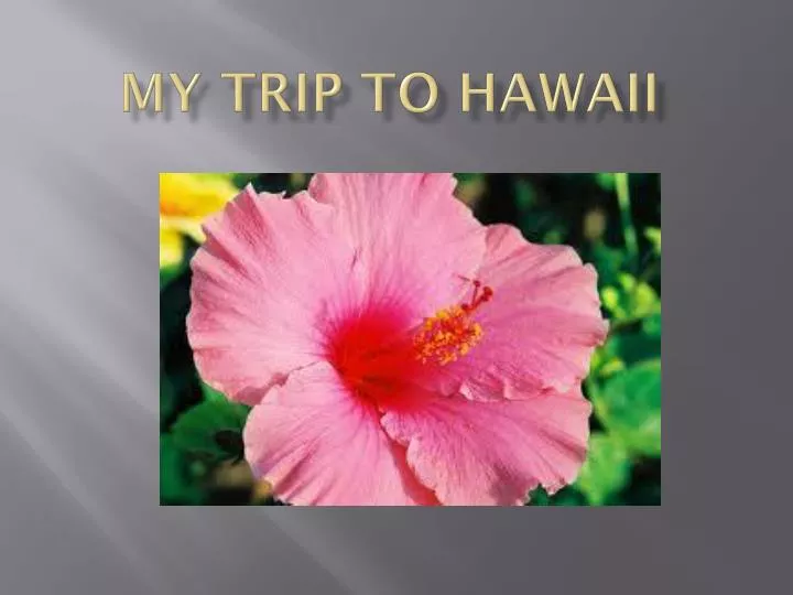 my trip to hawaii