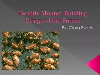 termite mound building design of the future