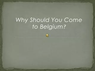 Why Should You Come to Belgium ?