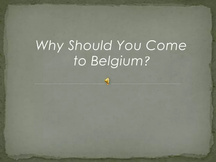 why should you come to belgium