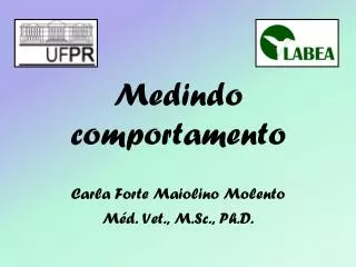 medindo comportamento