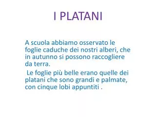 i platani