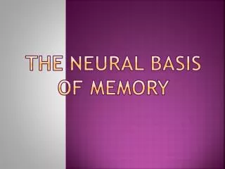 The Neural Basis Of Memory