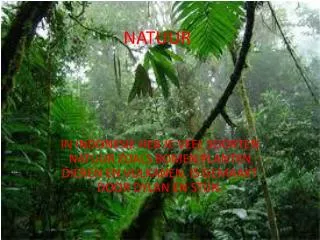 natuur