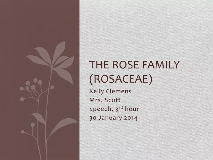 the rose family rosaceae
