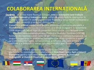 colaborarea interna ional