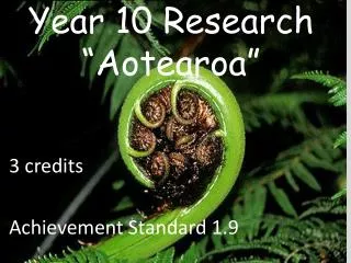 Year 10 Research “ Aotearoa ”