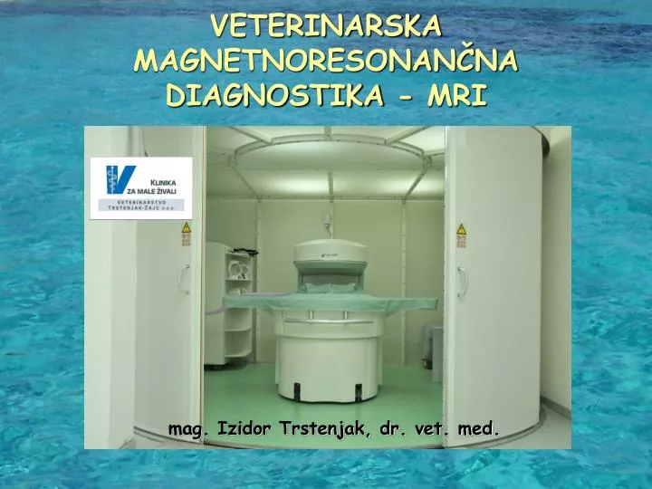 veterinarska magnetnoresonan na diagnostika mri