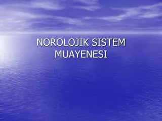 norolojik sistem muayenesi