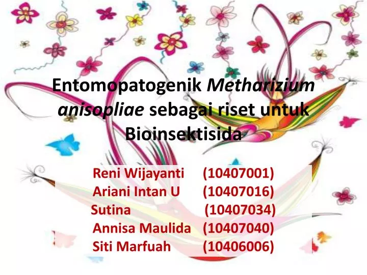 entomopatogenik metharizium anisopliae sebagai riset untuk bioinsektisida