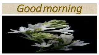 good morning