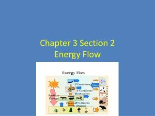chapter 3 section 2 energy flow