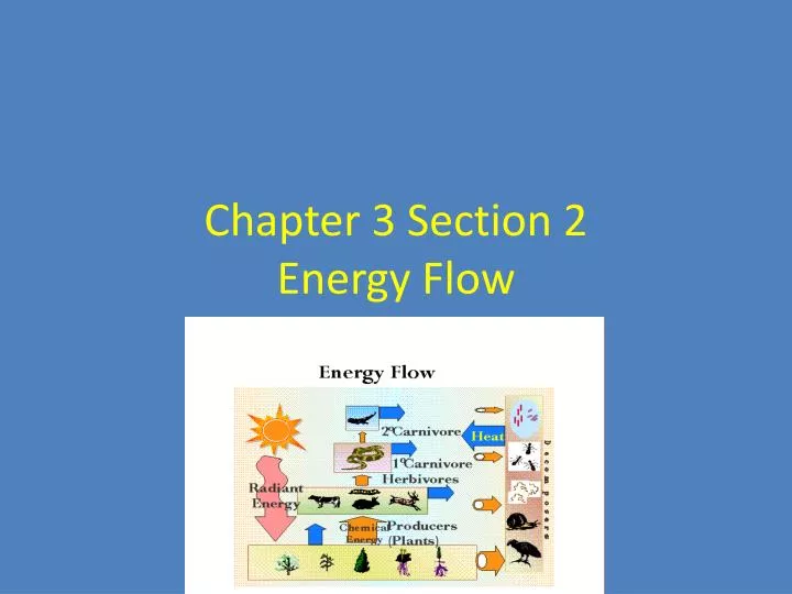 chapter 3 section 2 energy flow