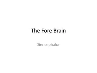 The Fore Brain
