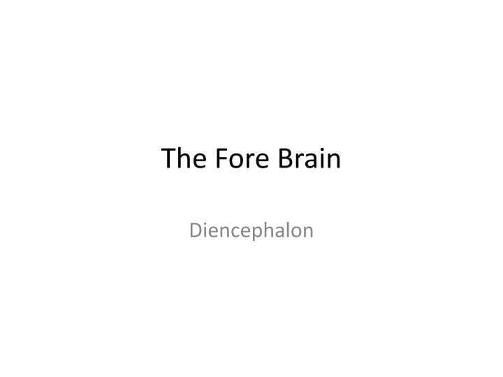 the fore brain