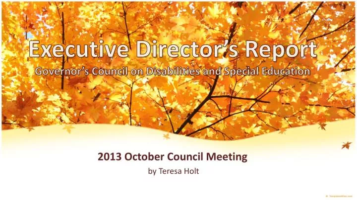 executive director s report governor s council on disabilities and special education