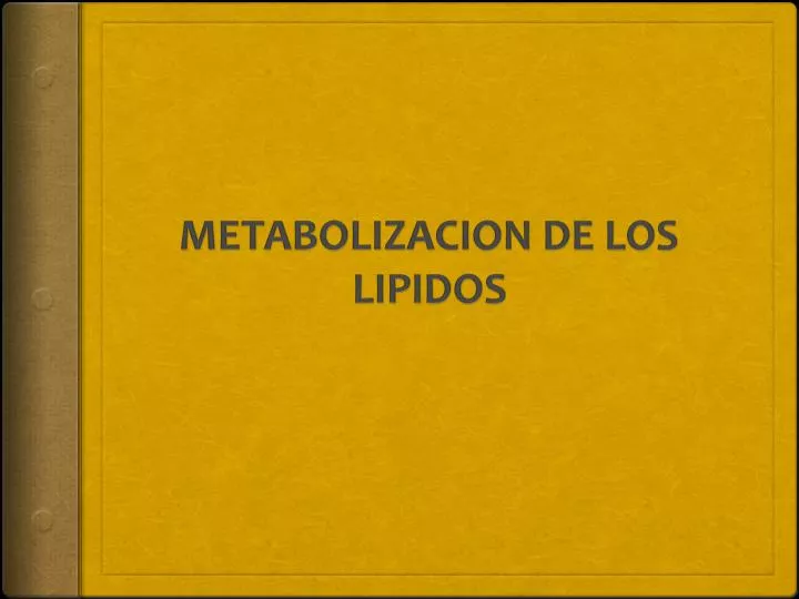 metabolizacion de los lipidos