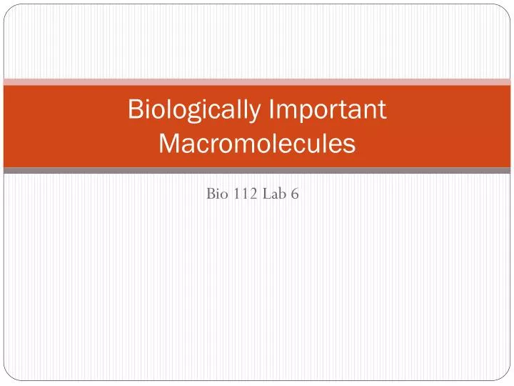 biologically important macromolecules
