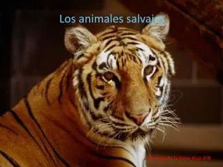 los animales 2