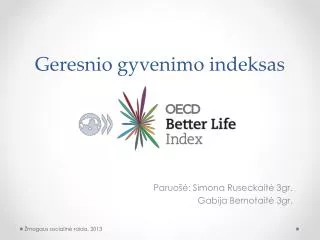 geresnio gyvenimo indeksas