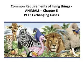 common requirements of living things animals chapter 5 pt c exchanging gases