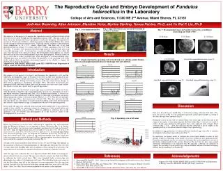 The Reproductive Cycle and Embryo Development of Fundulus heteroclitus in the Laboratory