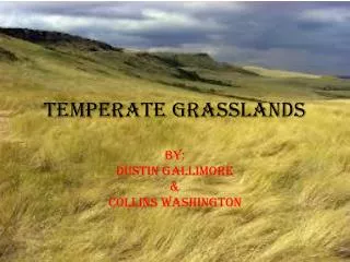 Temperate Grasslands