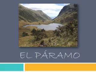el p ramo