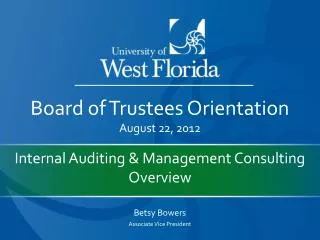 Internal Auditing &amp; Management Consulting Overview