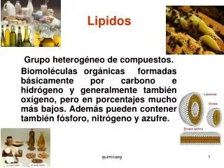 lipidos