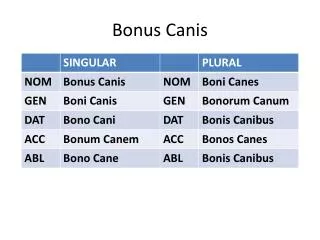 bonus canis