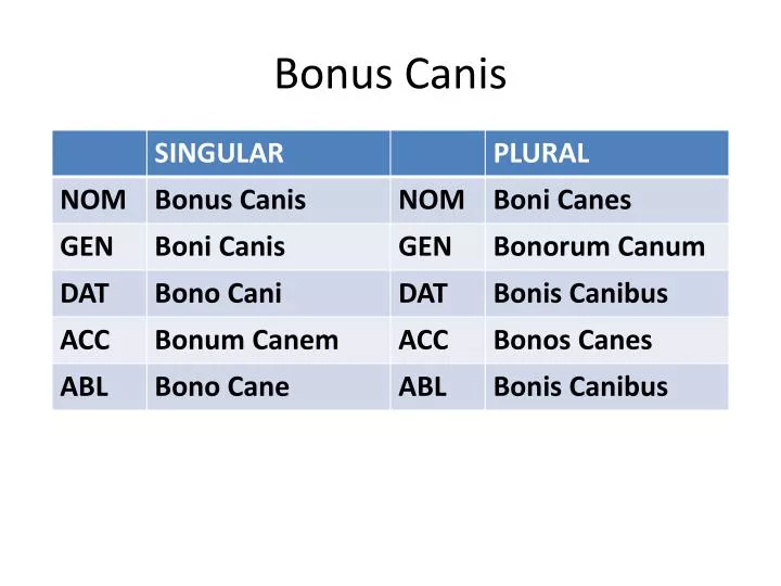 bonus canis