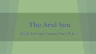 the aral sea