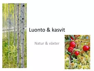 luonto kasvit