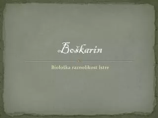 bo karin