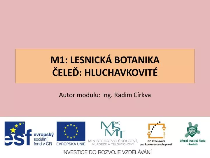 m1 lesnick botanika ele hluchavkovit